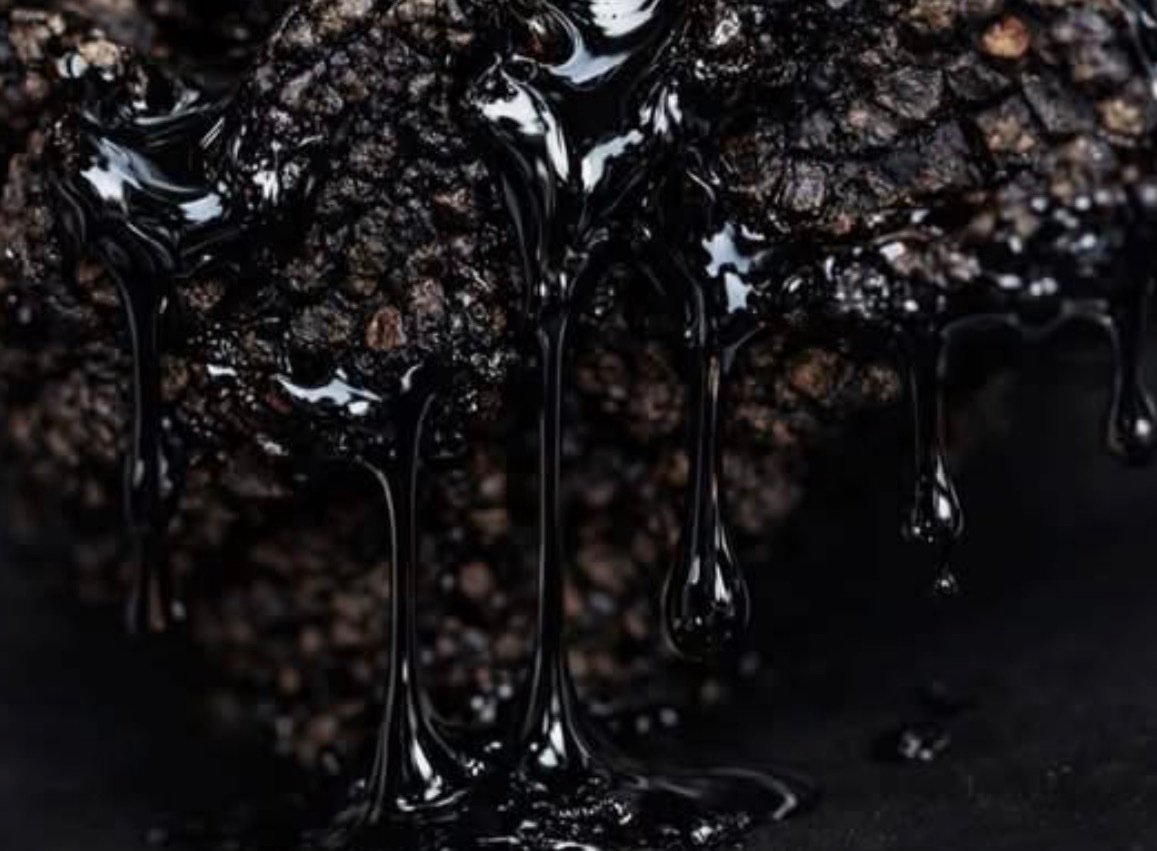 Himalayan Shilajit w/ - Image 2